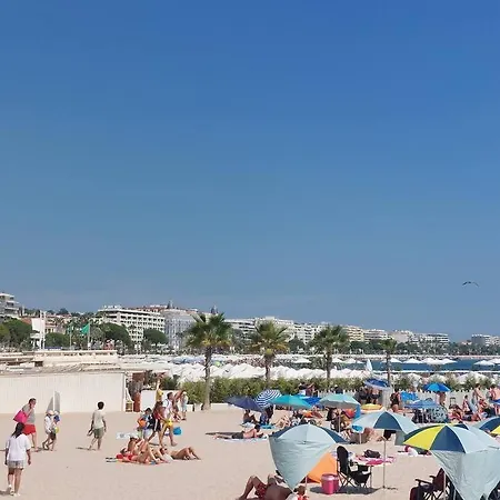 Apartment Les Oliviers, Swimming Pool And Parking *