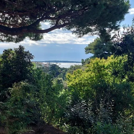 Les Oliviers, Swimming Pool And Parking Apartment